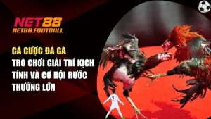Cá Cược Đá Gà - Trò Chơi Giải Trí Kịch Tính Và Cơ Hội Rước Thưởng Lớn