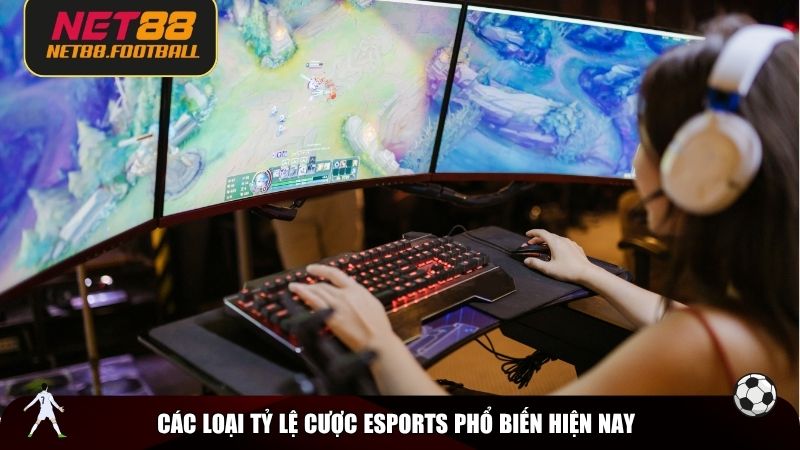 Các loại tỷ lệ cược Esports phổ biến hiện nay